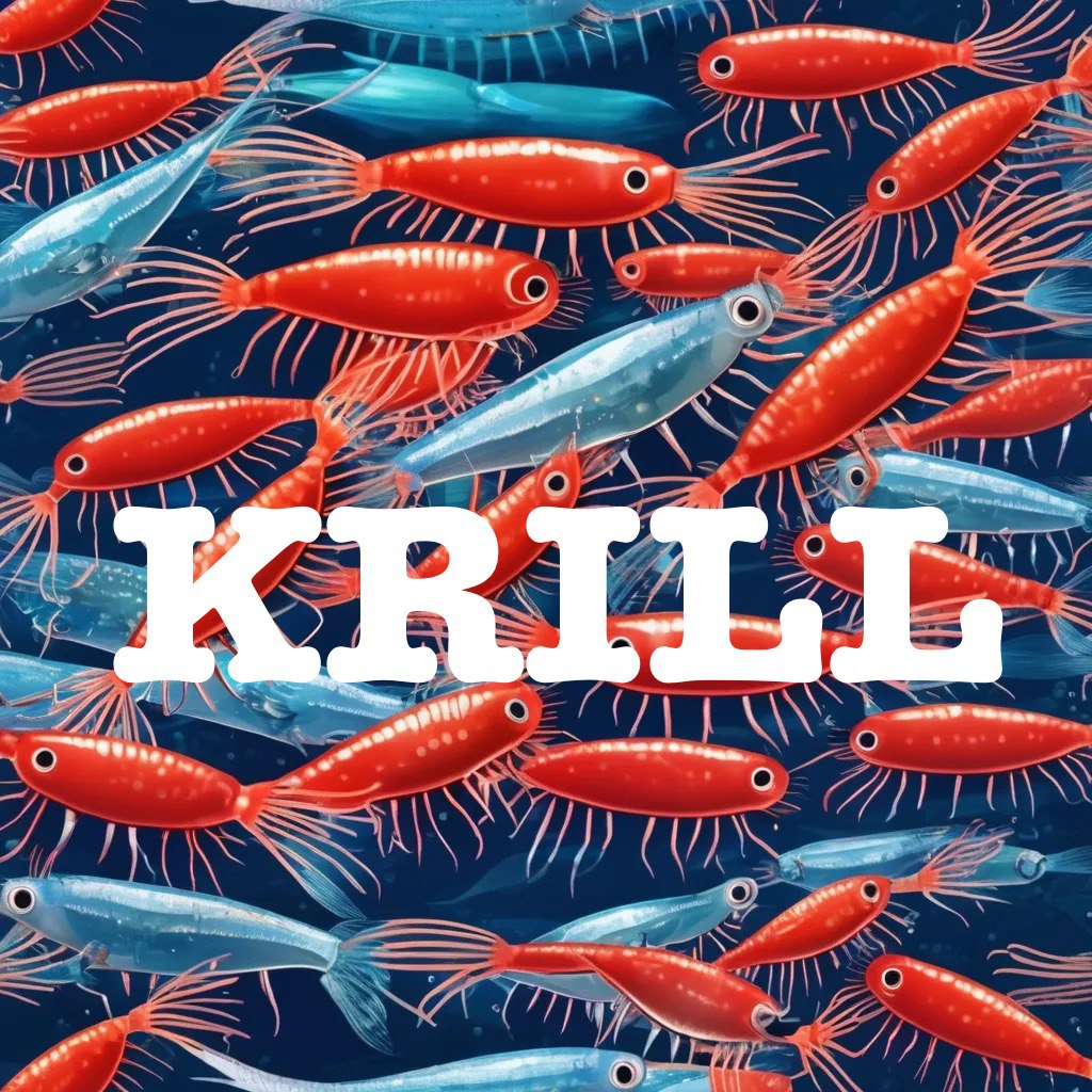 Flavourskrill