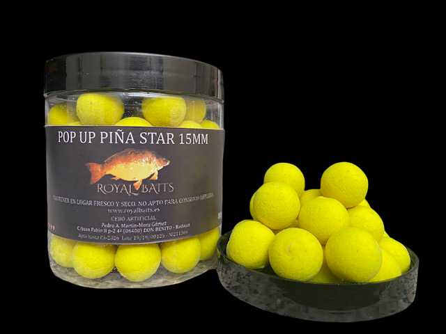 PopUp Pina_Star